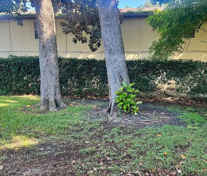 360 Slayton Ave — Photo 17