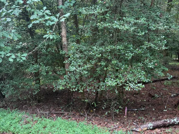 308 Creekside Trl, Ellijay, GA 30540