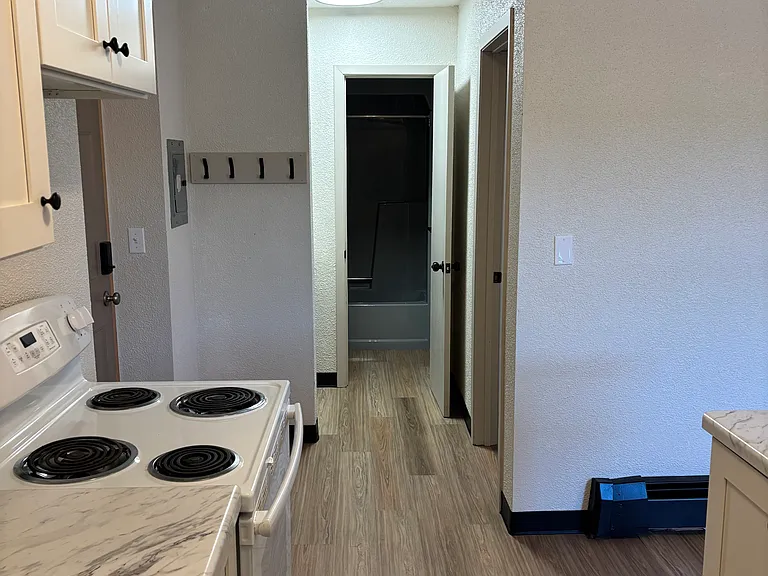 407 Shelden Ave #1 — Photo 8