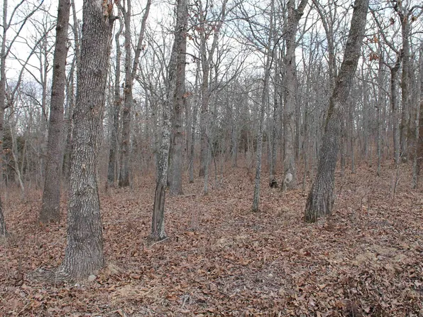 Kip Dr, Edwards, MO 65326