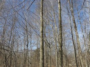 0A Fox Hill Rd, Edinburg, NY 12134