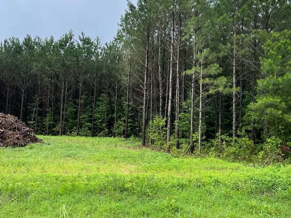 0 County Rd Parcel 1, Banks, AL 36005