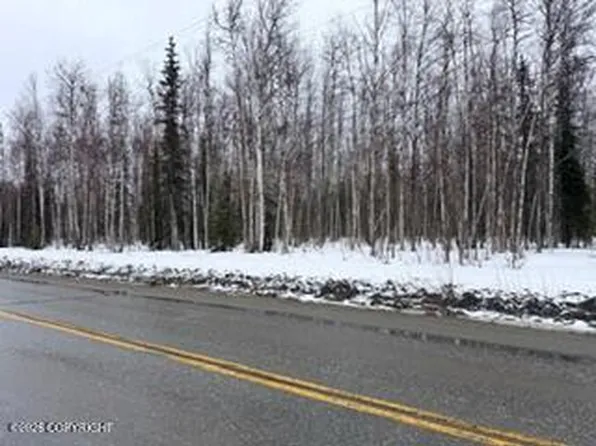 25010 W Long Lake Rd, Willow, AK 99688