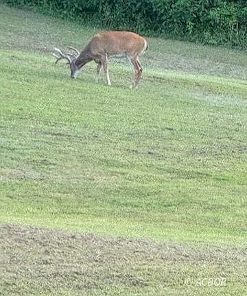 3rd image of 446 Shaffer School Rd