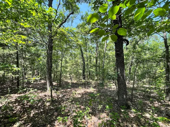 000 State Route 14, Dora, MO 65637