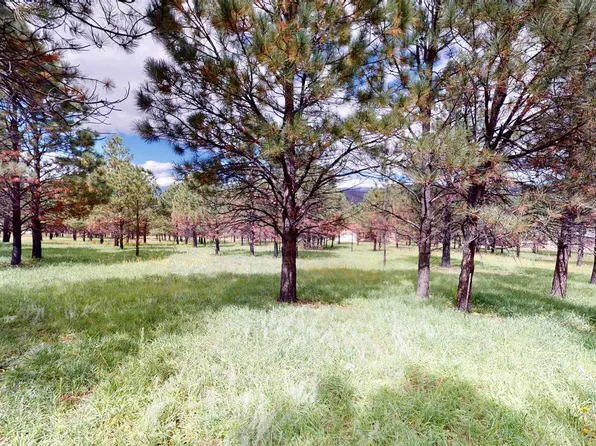 Lots 89 & 90 Pino Ct, Rociada, NM 87742