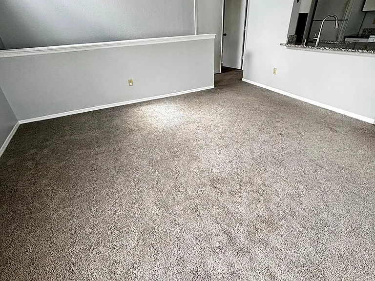 1610 Columbia Arms Cir #231 — Photo 6