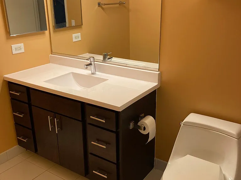 512 N McClurg Ct #1508 — Photo 10