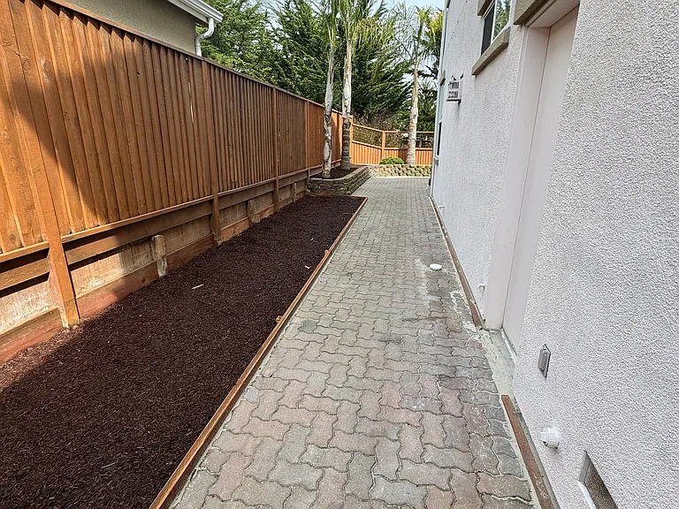 Side Yard
