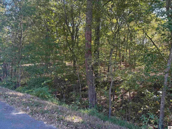 0 Prince John Way, Calvert City, KY 42029