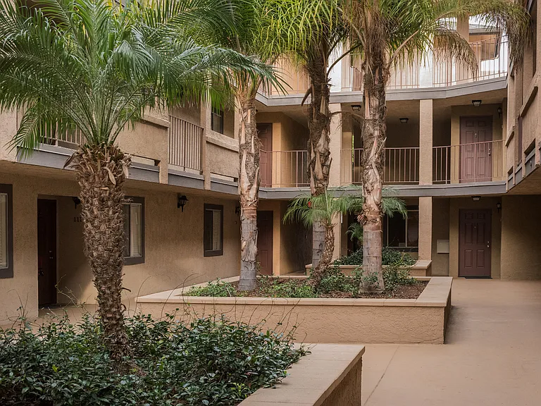 Courtyard Planters