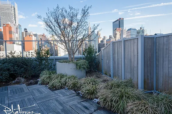 Rented by Platinum Properties | media 5