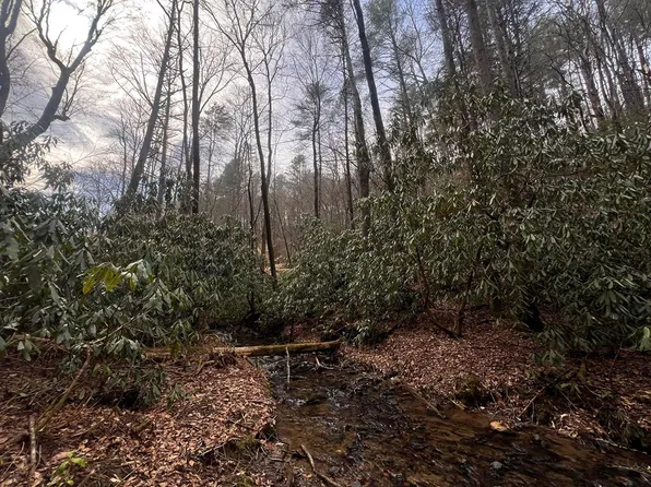63 Walker Ridge Way, Mineral Bluff, GA 30559