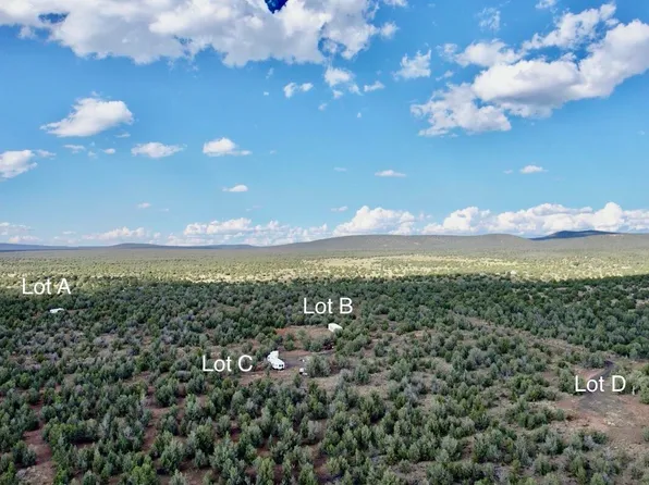 1798 W Ivas Way Lot C, Ash Fork, AZ 86320