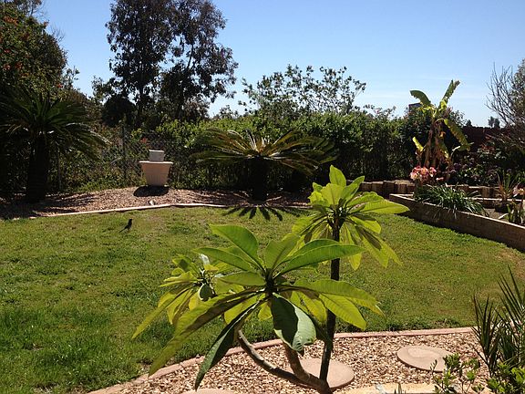 Beautiful landscaping