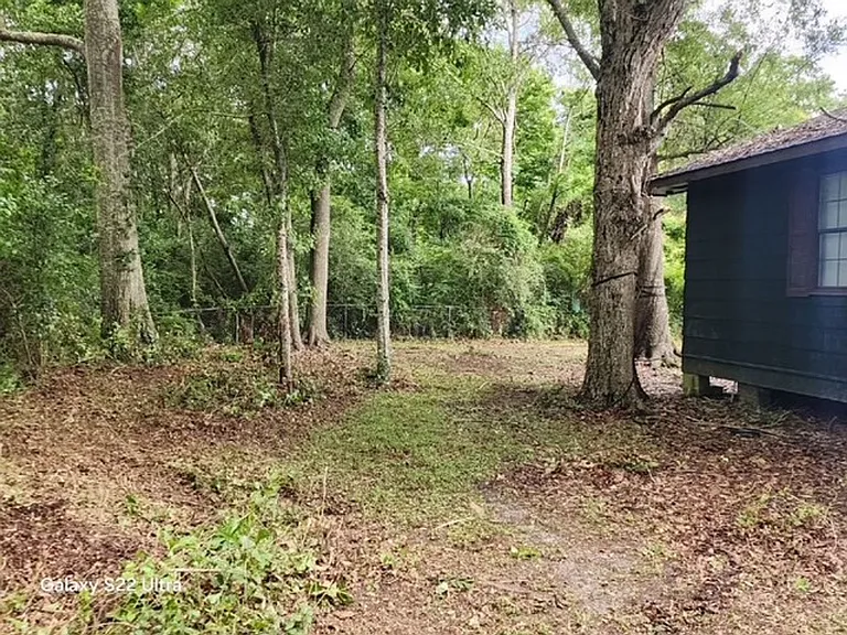 356 Live Oak Ave — Photo 4