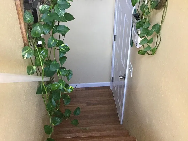 2106 Streamview Ct — Photo 11