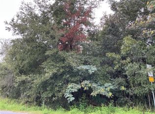 LOT 1 PINE RADIAL RUN LOT 1, OCALA, FL 34472