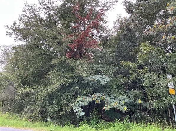 LOT 1 PINE RADIAL RUN LOT 1, OCALA, FL 34472