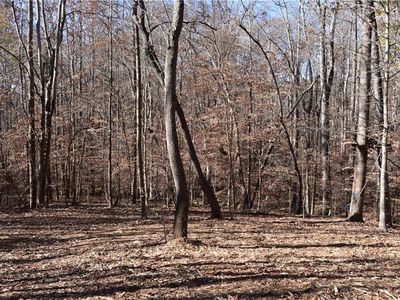 391 Marvin Land Ln #4, Canton, GA, 30115