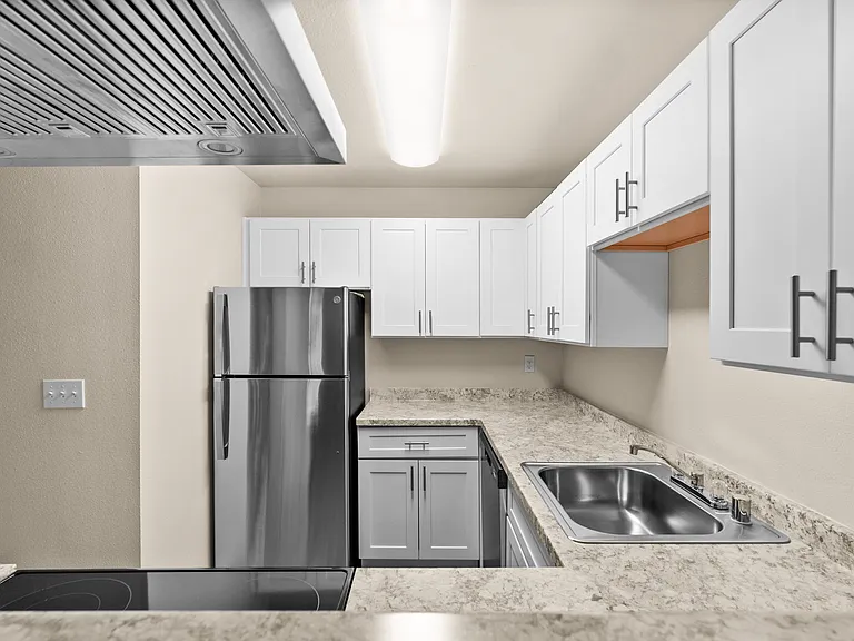 Modern Kitchen