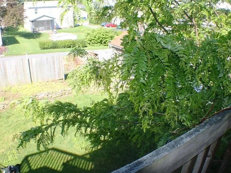 326 Clark St #1 — Photo 23