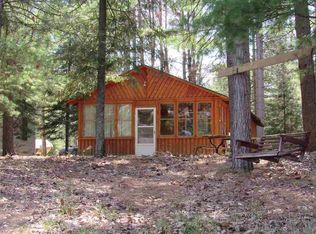 7625 June Ave, Saint helen, MI 48656