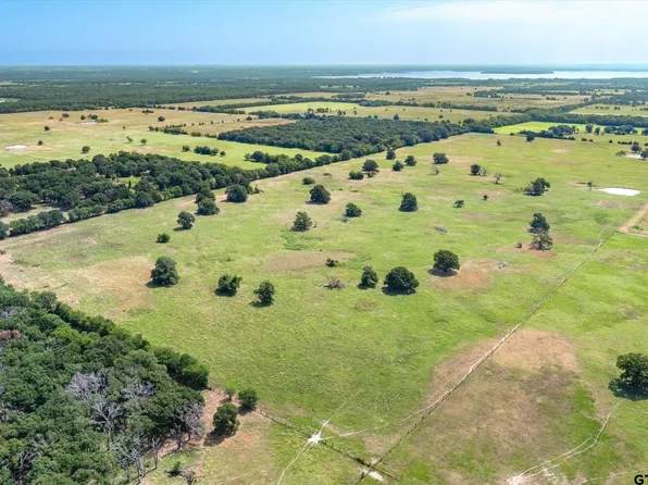 0 County Road 4056, Kemp, TX 75143