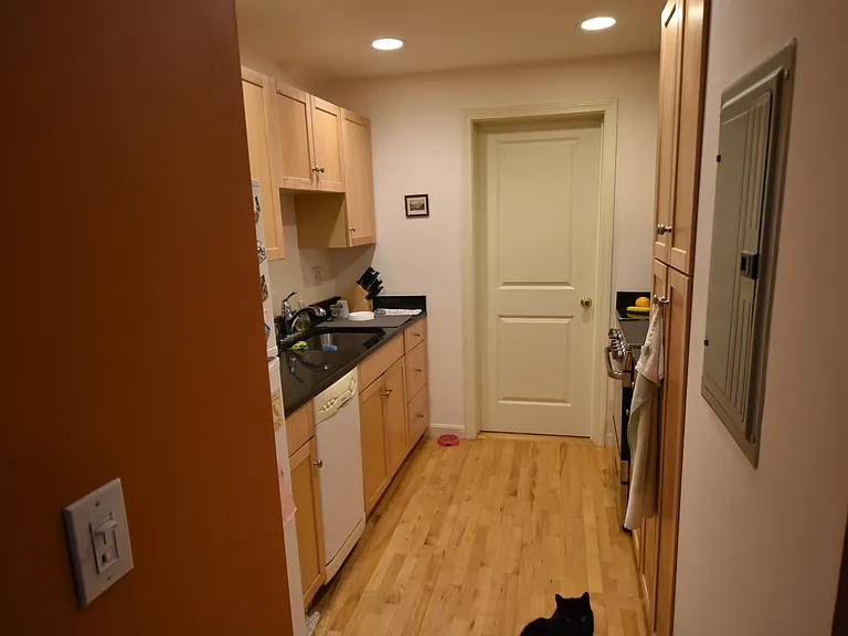 241 Hurley St #3 — Photo 7