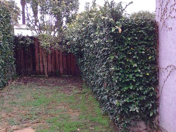 private back yard