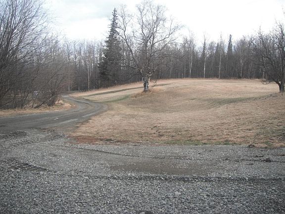 Front Yard & Driveway
