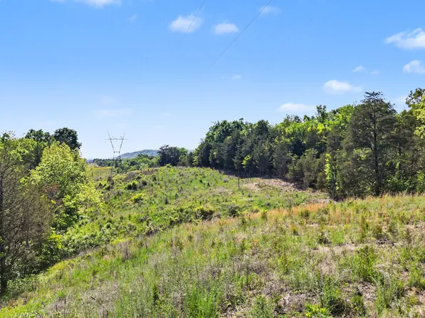75ACRE S Oak Hills Rd, Mosheim, TN 37818