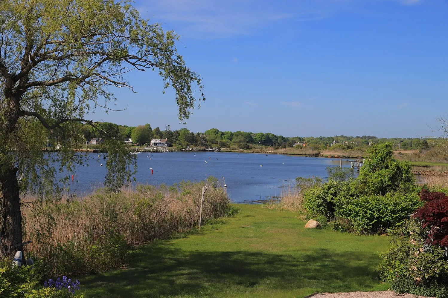 3 bed, 2.5 bath, 1800 sqft, $3,100 — Photo 2