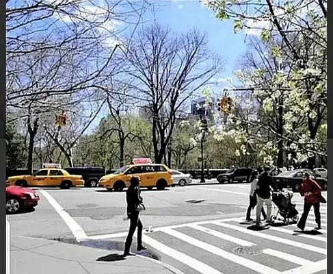 Rented by Oxford Property Group | media 13