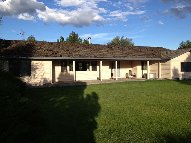 House front yard/view