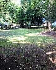 yard