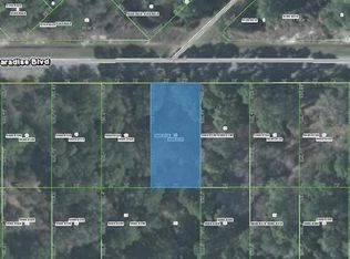 225 Paradise Blvd, Georgetown, FL 32139