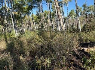 Routt County Rd #24, Steamboat Springs, CO 80487