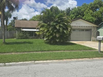 7756 Ivory Ter, New Port Richey, FL, 34655