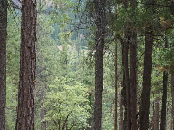 0 Highway 70, Quincy, CA 95971