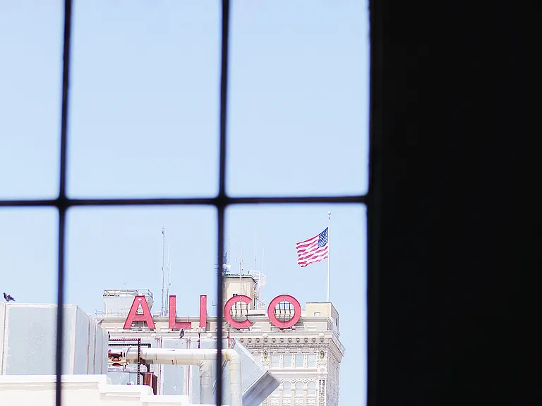 800 Austin Ave #508 — Photo 4