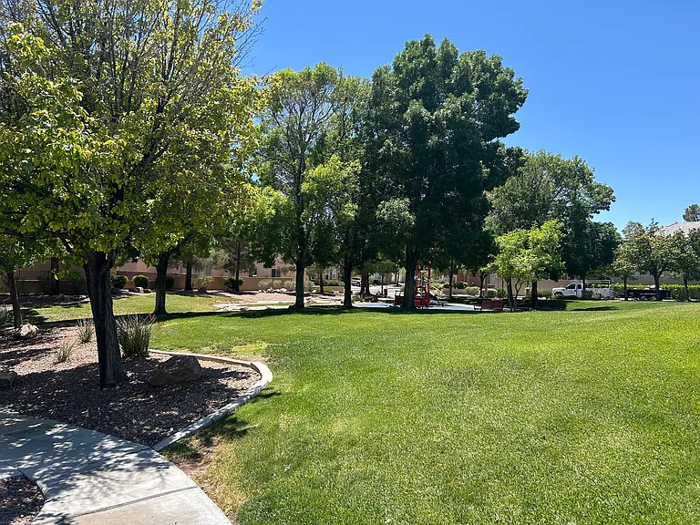 10296 Magnolia Tree Ave — Photo 29