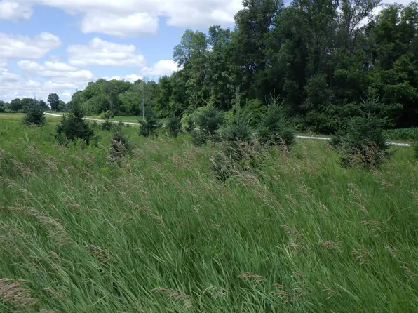 Hidde Rd, Marion, WI 54950