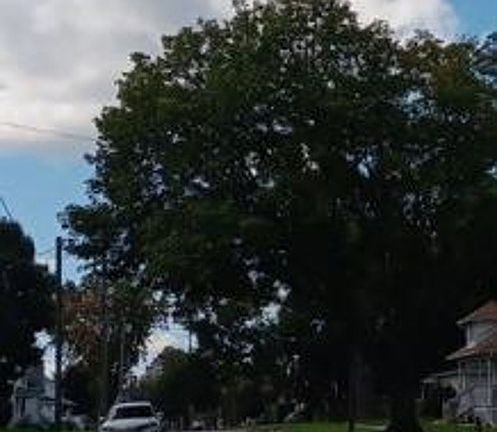 Exterior Neighborhood (street photo)