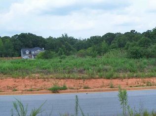 95 River View Dr, Covington, GA 30014