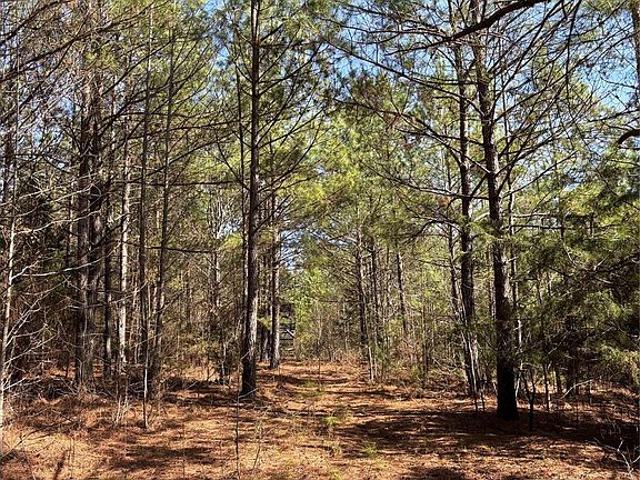 3rd image of 76/AC Pioneer Rd