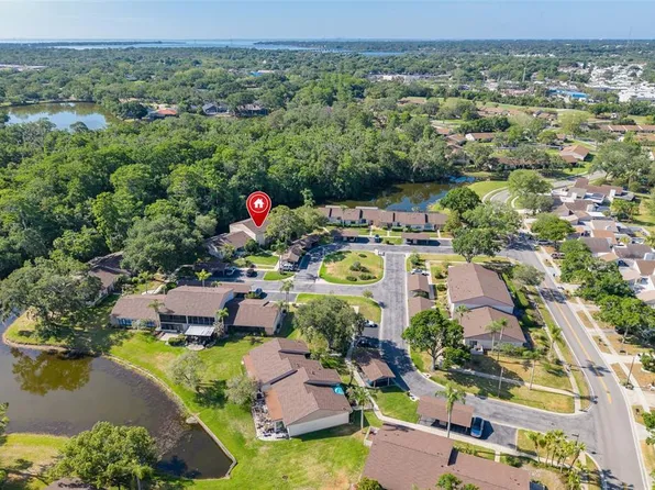 110 Ingrid Pl, Oldsmar, FL 34677
