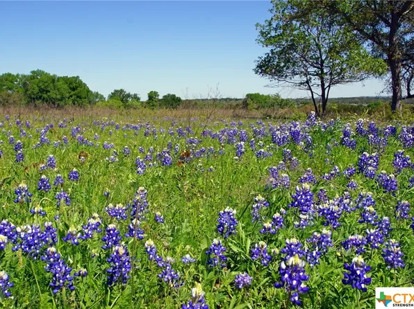 320 Miller Creek Blf, Briggs, TX 78608