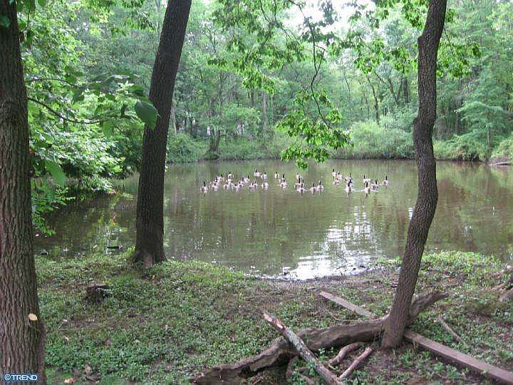 Lake/Pond