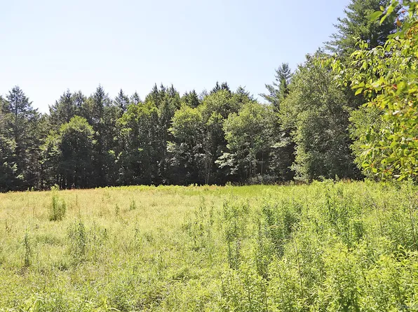 Lot 4A Hurd Road, Bethel, NY 12720
